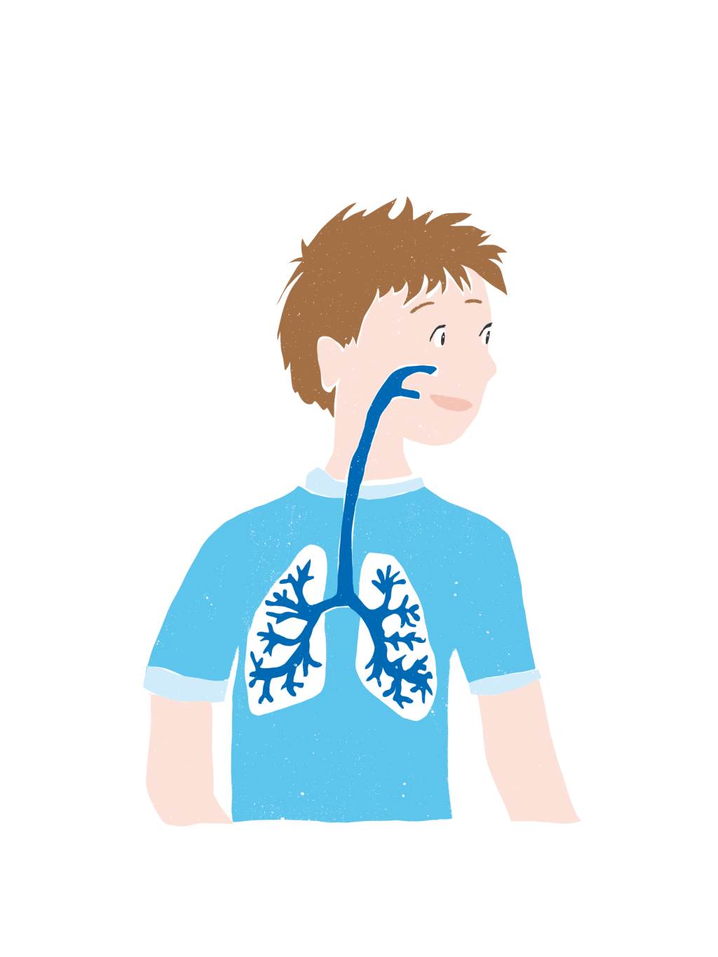 Illustration of a boy with brown hair in a blue shirt showing the path from his nose to healthy lungs, by Viktoria Spokojna