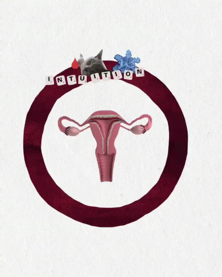 Animierte Collage für Qiio Magazin — Zyklus-Serie